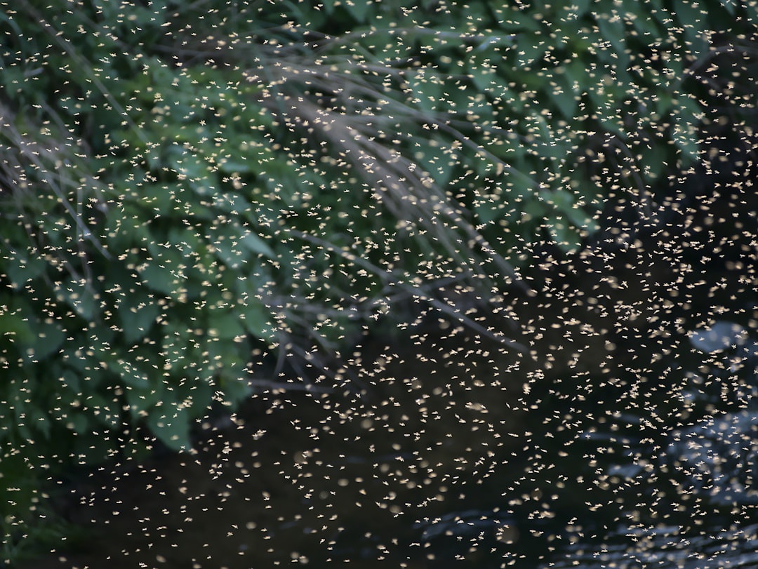 The Predator-Prey Imbalance (image credits: unsplash)