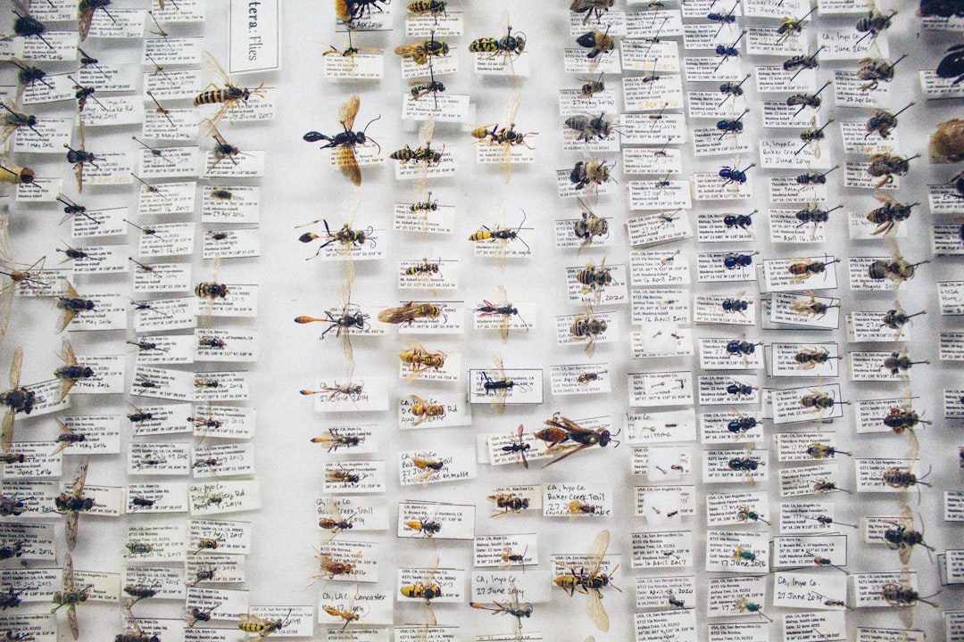 Collecting and Preserving Insect Evidence (image credits: unsplash)