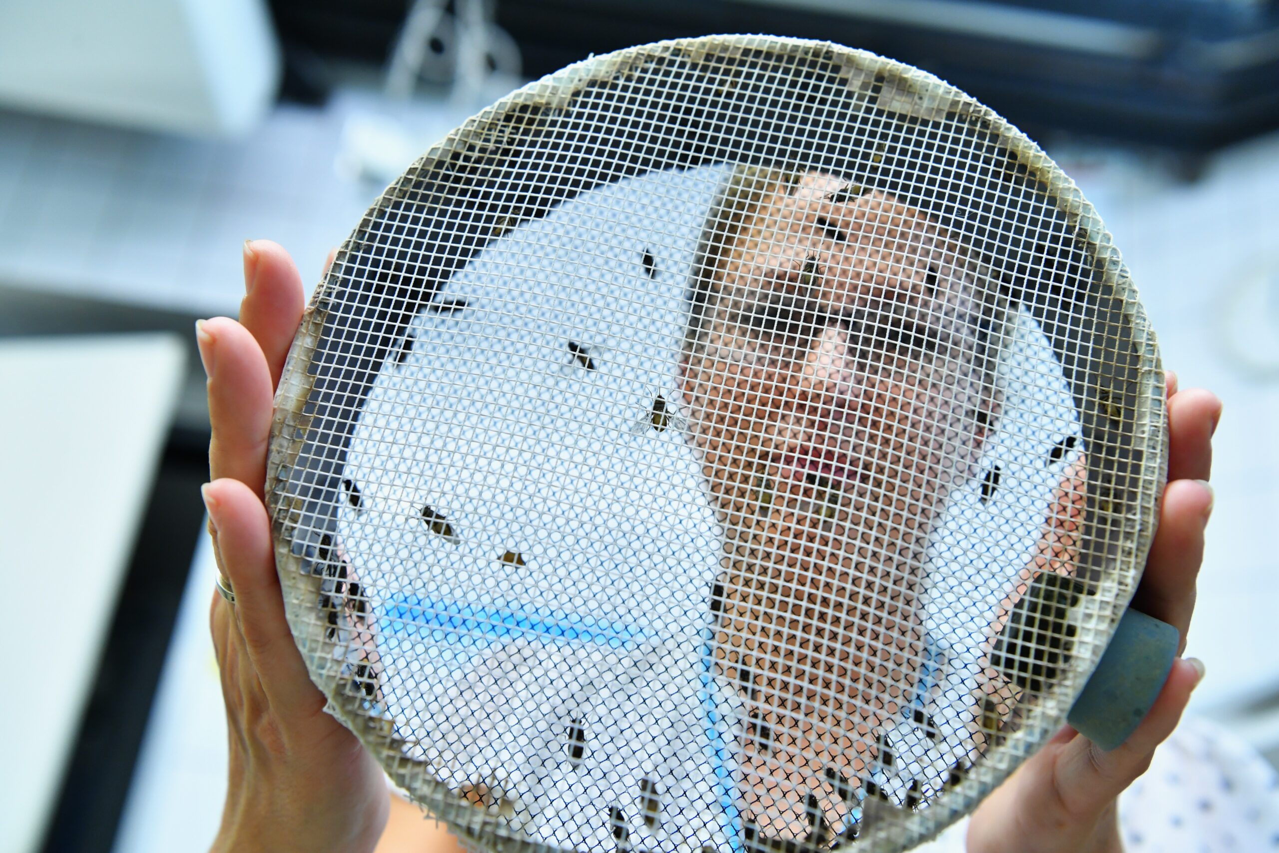 Laboratory Analysis and Species Identification (image credits: wikimedia)