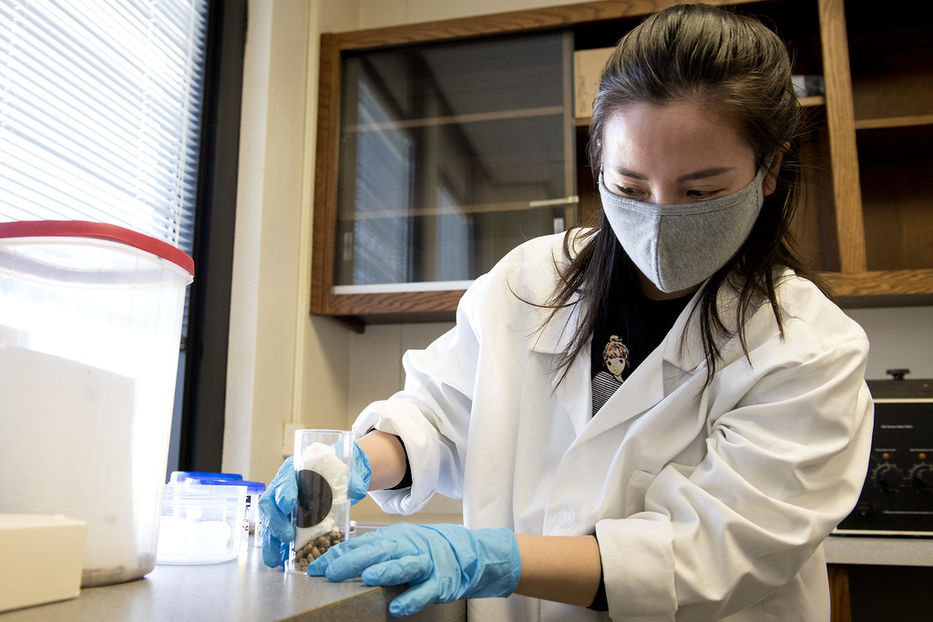 Toxicology Through Insect Analysis (image credits: flickr)