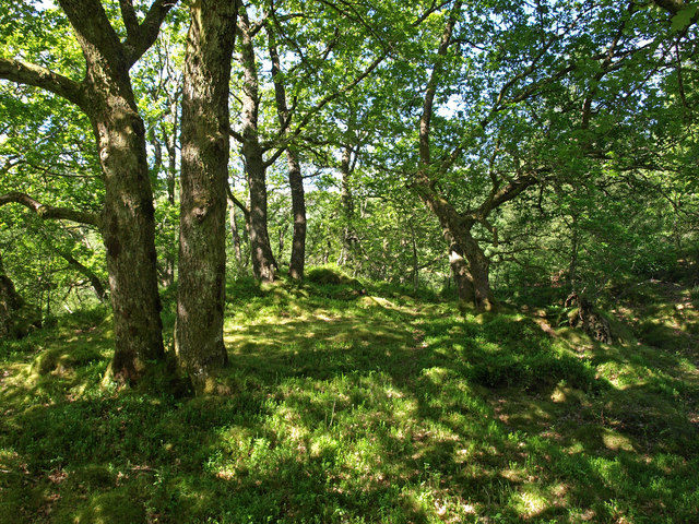 Habitat and Lifestyle of the Armored Survivor (image credits: From geograph.org.uk, CC BY-SA 2.0, https://commons.wikimedia.org/w/index.php?curid=14087983)