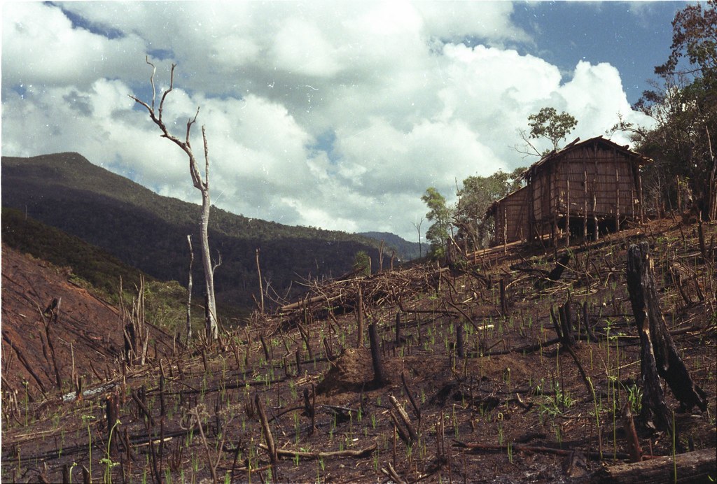 Conservation Status and Threats (image credits: flickr)