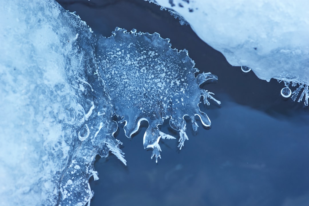 Parasite Invasions Follow the Heat (image credits: unsplash)