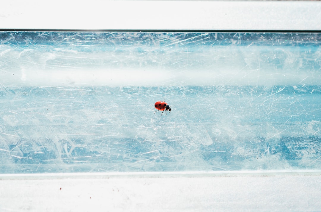 Antifreeze Proteins: Nature's Ultimate Winter Protection (image credits: unsplash)