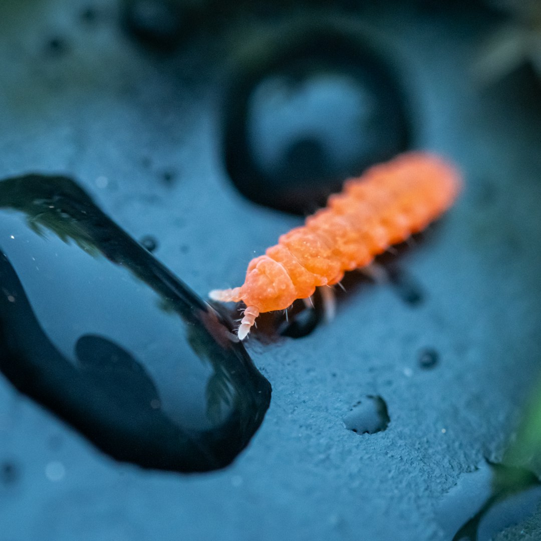 The Chemistry of Liquefaction (image credits: unsplash)