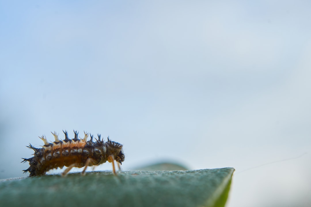 Ecological Impact and Importance (image credits: unsplash)