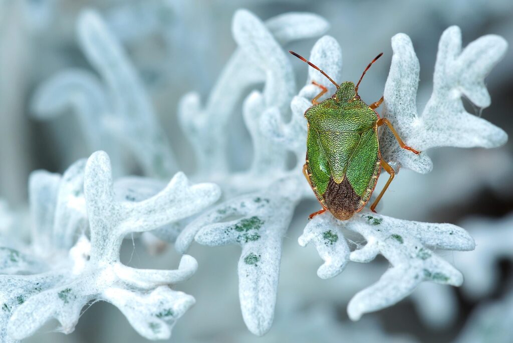 Why Your Bathroom Is a Bug Magnet (and What's Actually Living There)