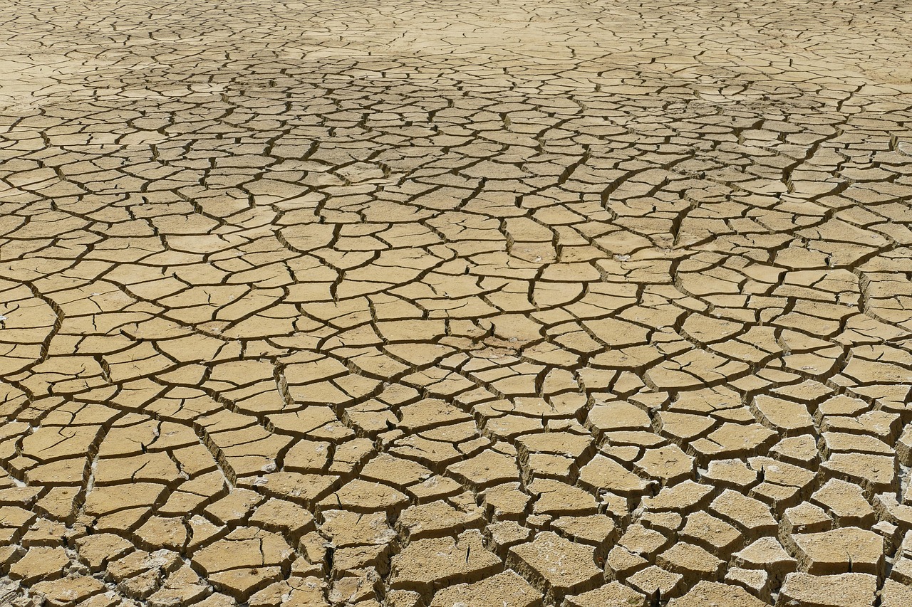 Climate Change Impacts on Reproductive Strategies (image credits: pixabay)