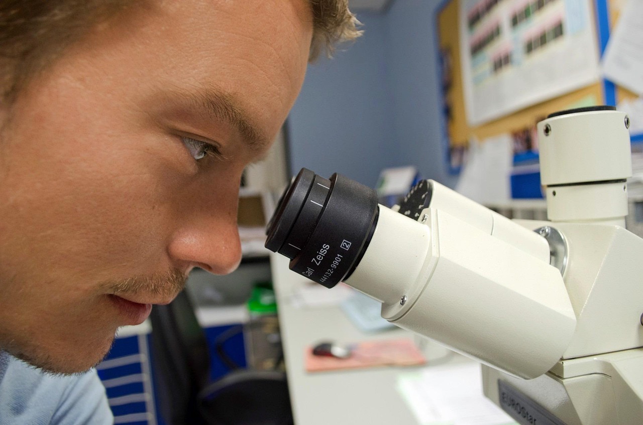 Future Research Directions and Implications (image credits: pixabay)