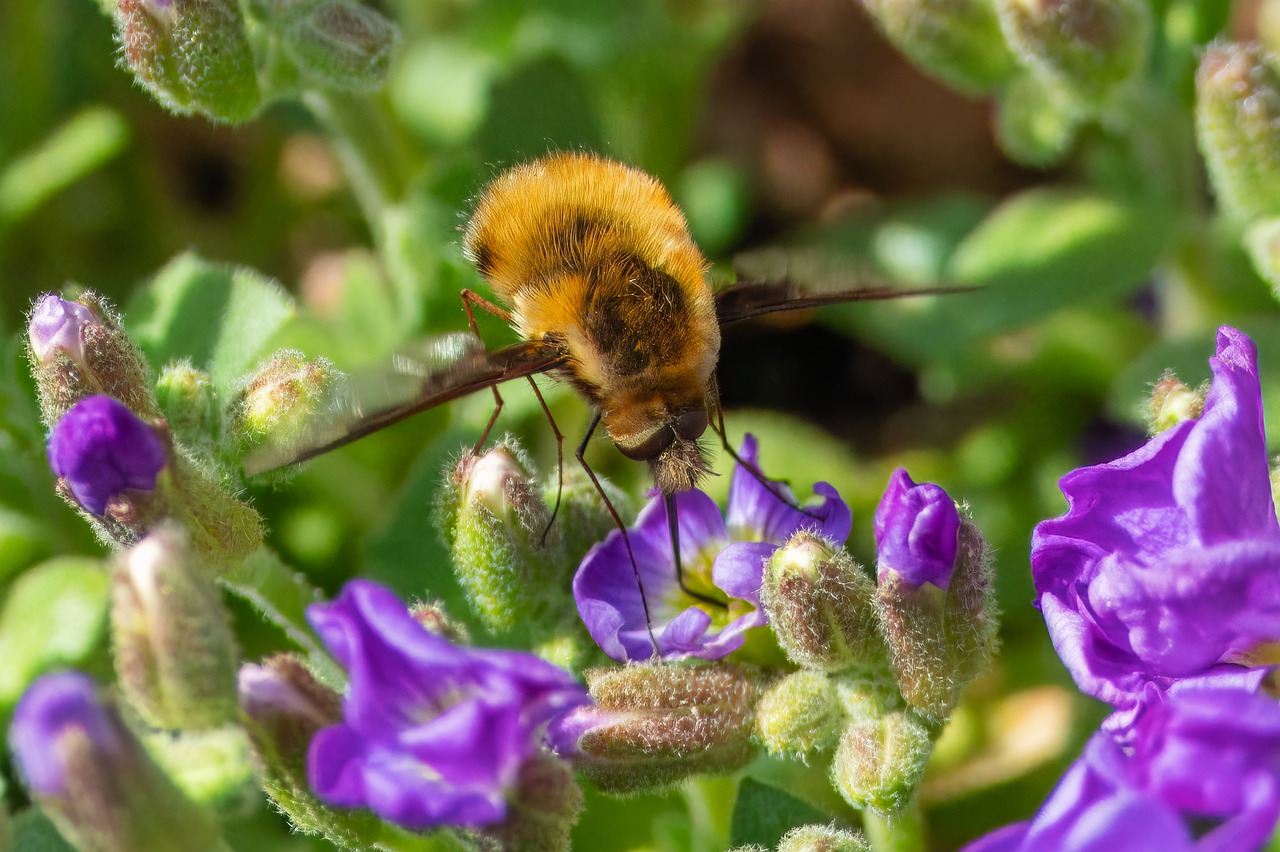 Breathing Becomes a Death Sentence (image credits: pixabay)