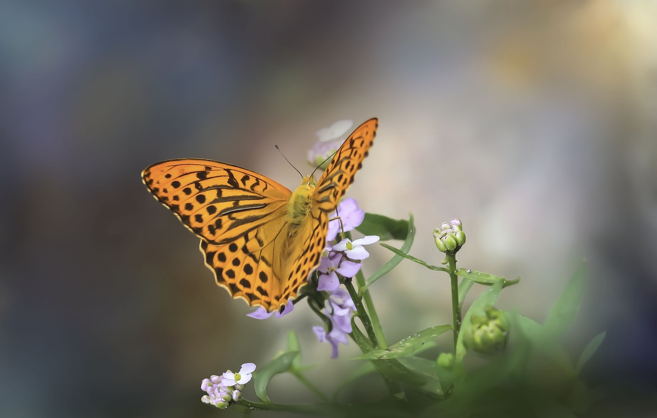 Environmental Factors Affecting Chemical Messages (image credits: pixabay)