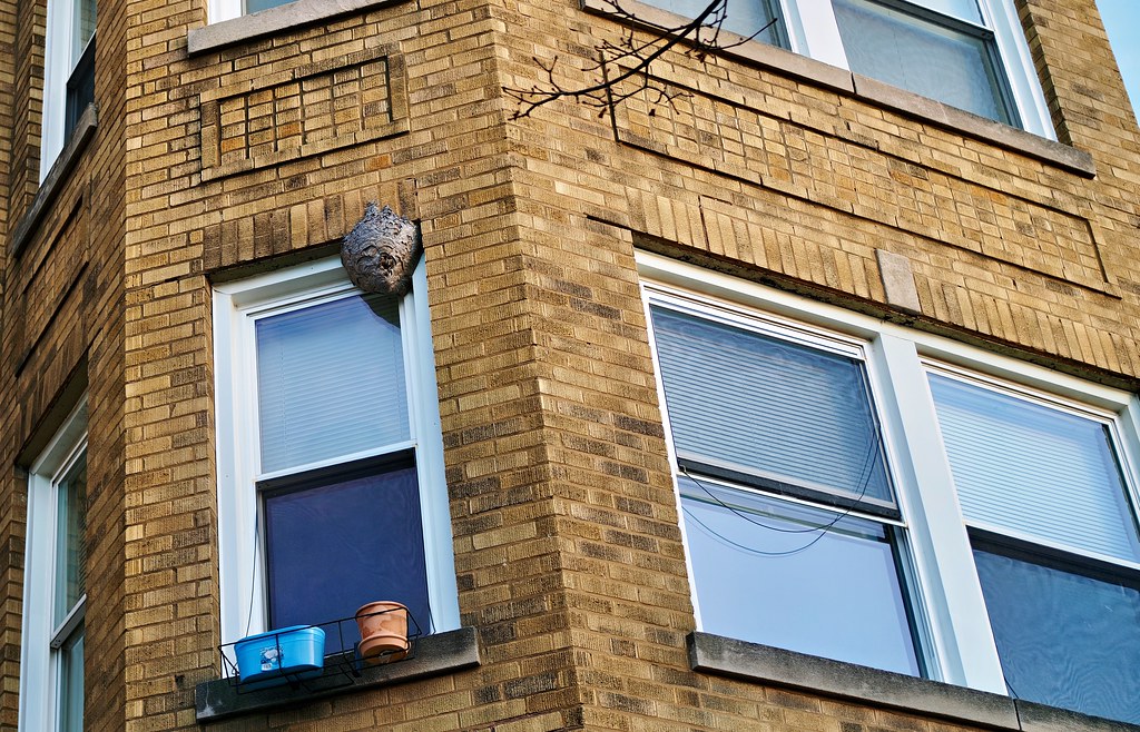 Vertical Habitat Pioneers (image credits: flickr)