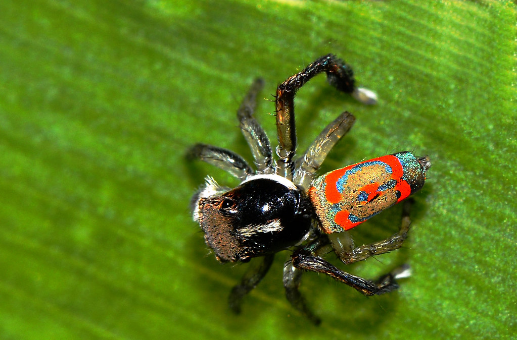 The Role of Photography in Discovery (image credits: flickr)