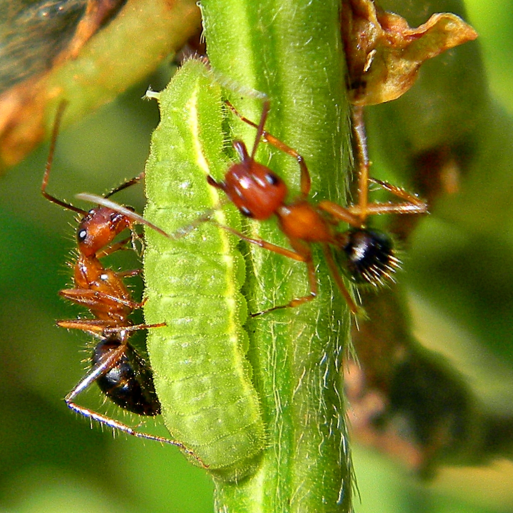 When Communication Breaks Down (image credits: flickr)