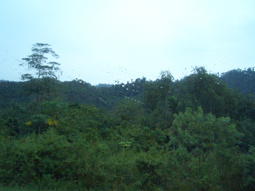Habitat and Distribution (image credits: flickr)