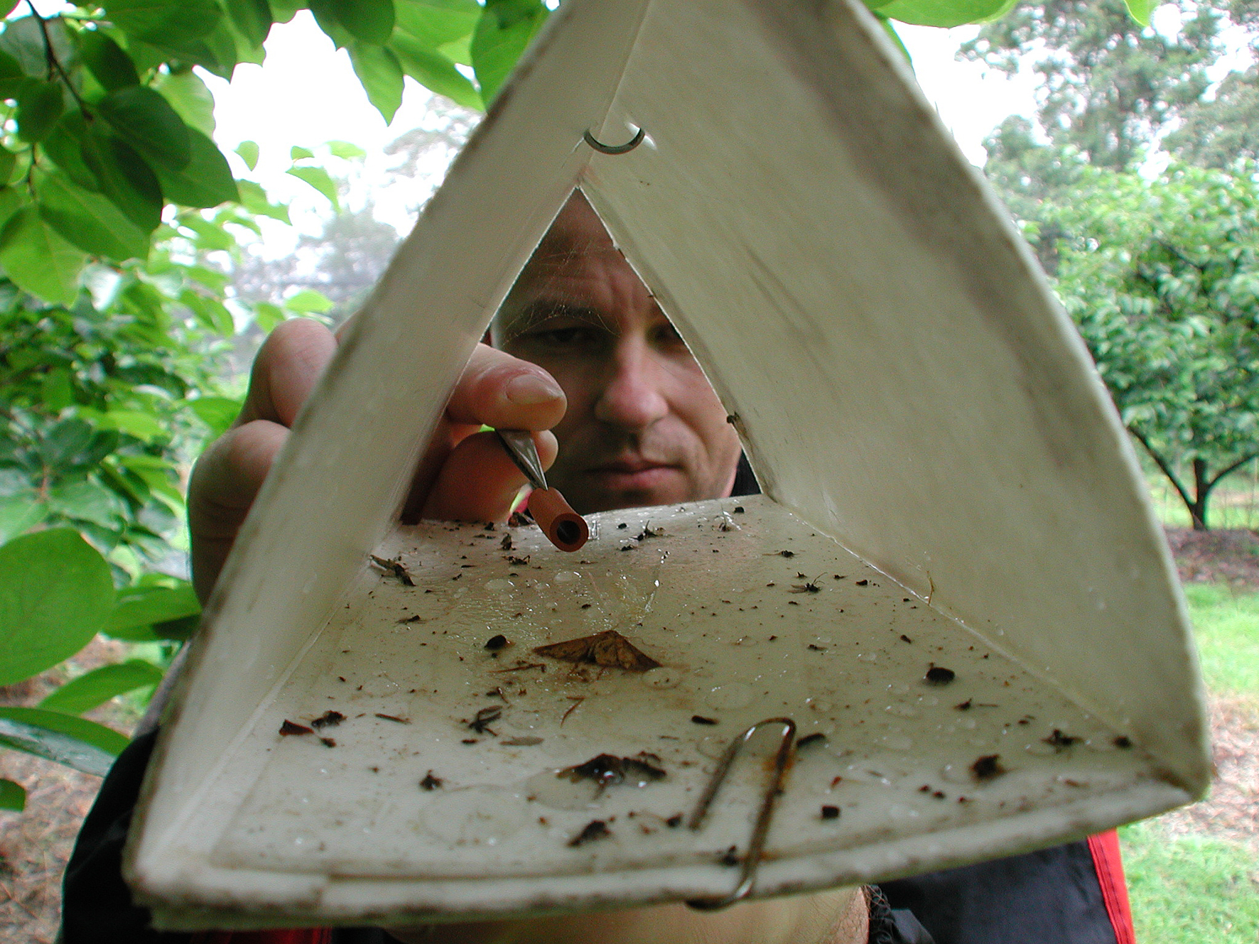 Detection Challenges: Finding Needles in Haystacks (image credits: By division, CSIRO, CC BY 3.0, https://commons.wikimedia.org/w/index.php?curid=35457507)