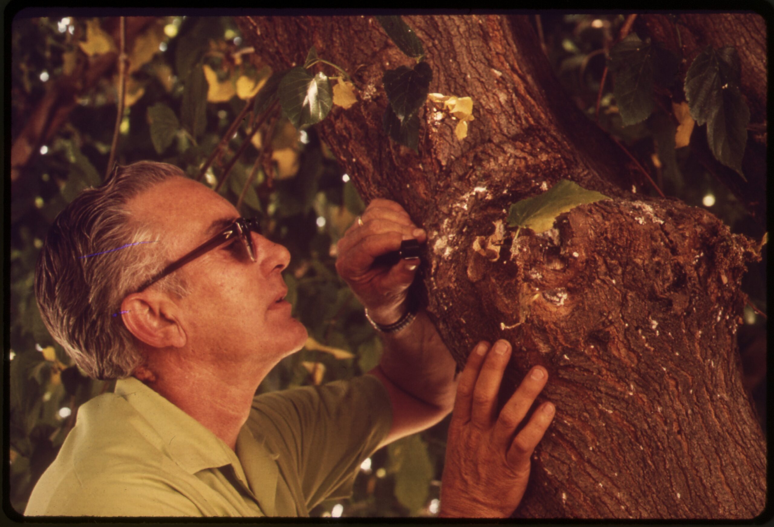 The Future of Biological Invasion (image credits: U.S. National Archives and Records Administration, Public domain, https://commons.wikimedia.org/w/index.php?curid=32862528)