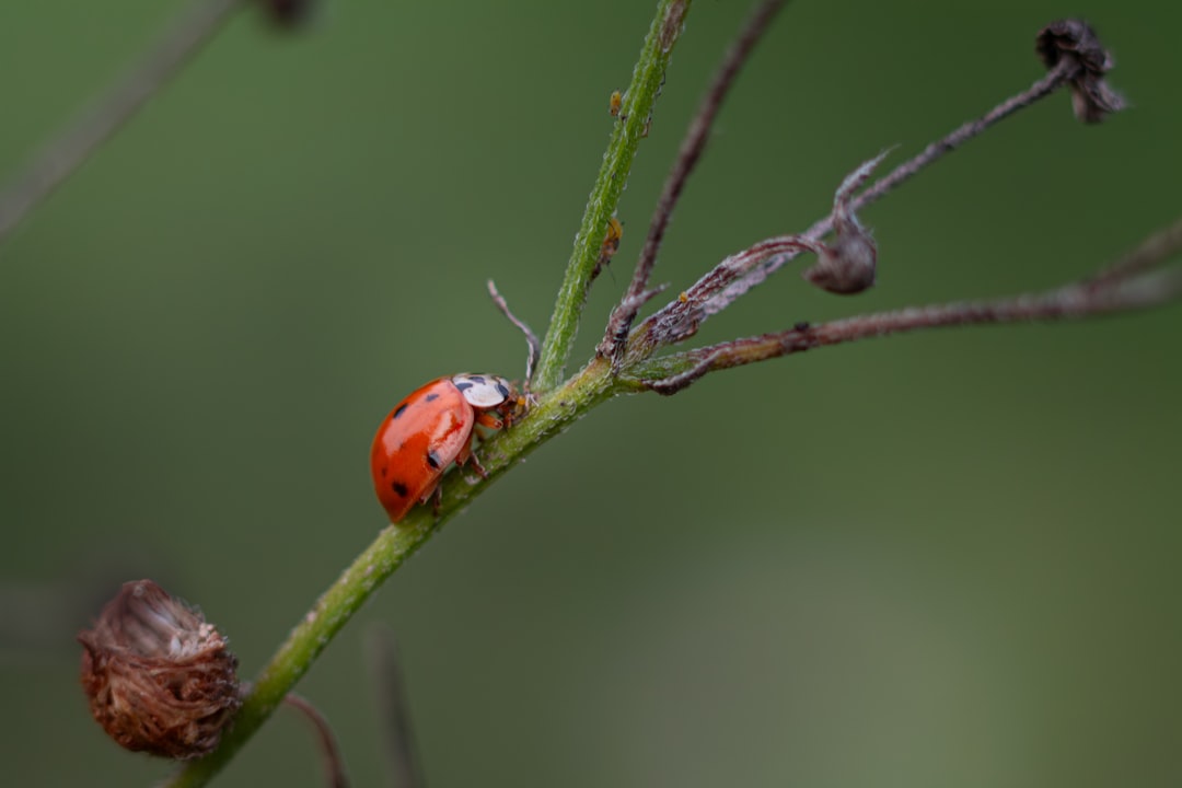 The Aftermath: Life After Zombification (image credits: unsplash)