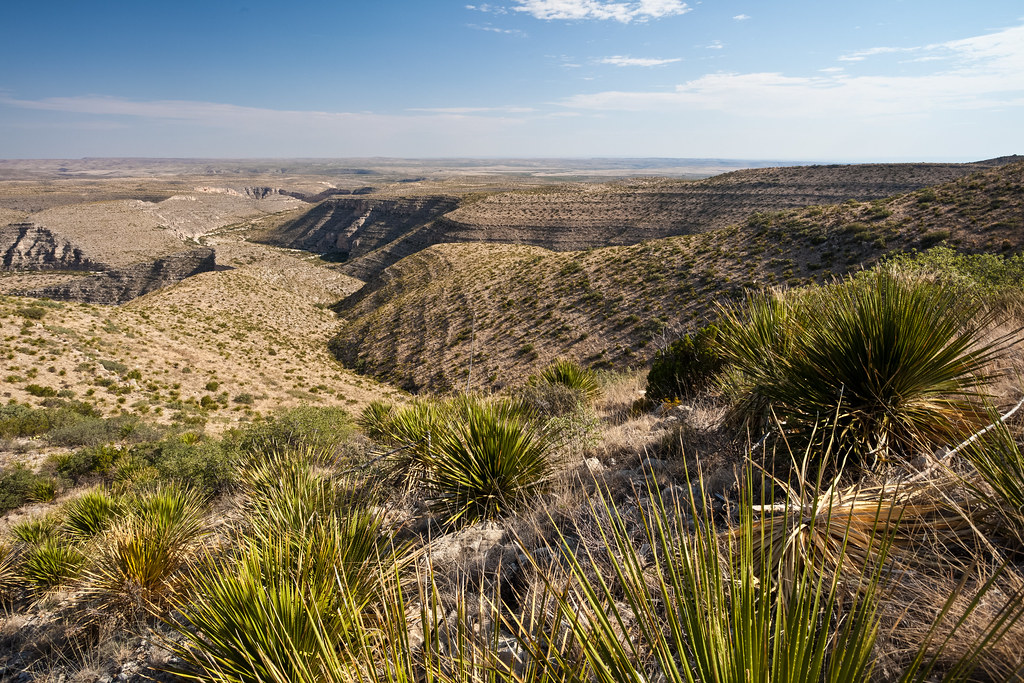 Conservation Implications (image credits: flickr)