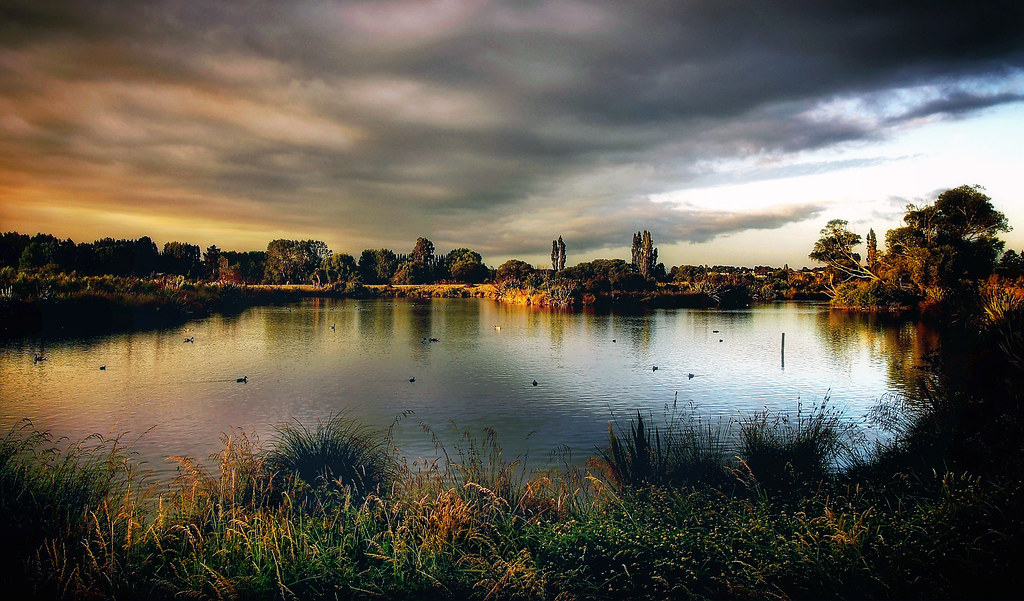 Conservation Challenges and Habitat Protection (image credits: flickr)