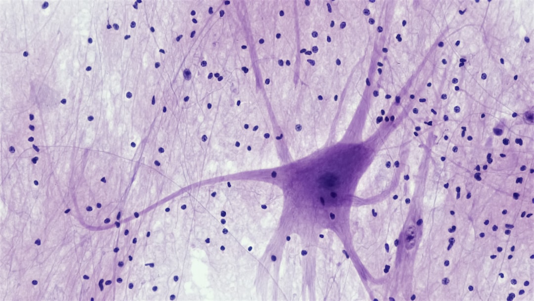 Neurological Disorders: Targeting the Root of the Problem (image credits: unsplash)