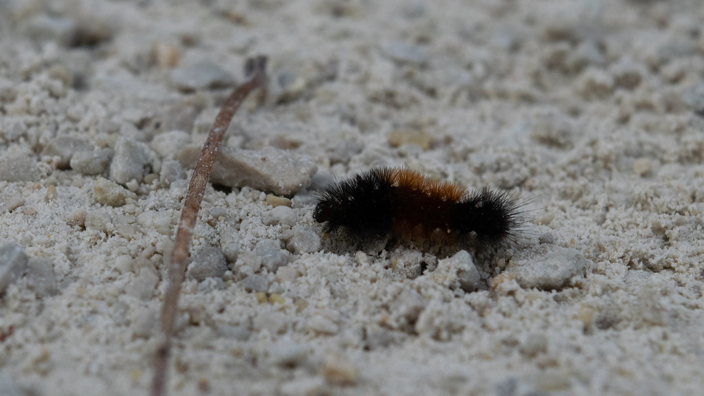 Surviving the Impossible: Eight Months of Death (image credits: flickr)