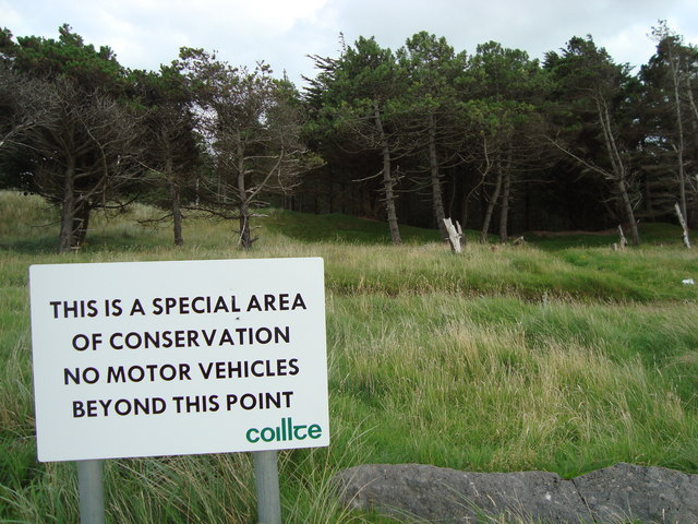 Conservation Implications (image credits: From geograph.org.uk, CC BY-SA 2.0, https://commons.wikimedia.org/w/index.php?curid=13623784)