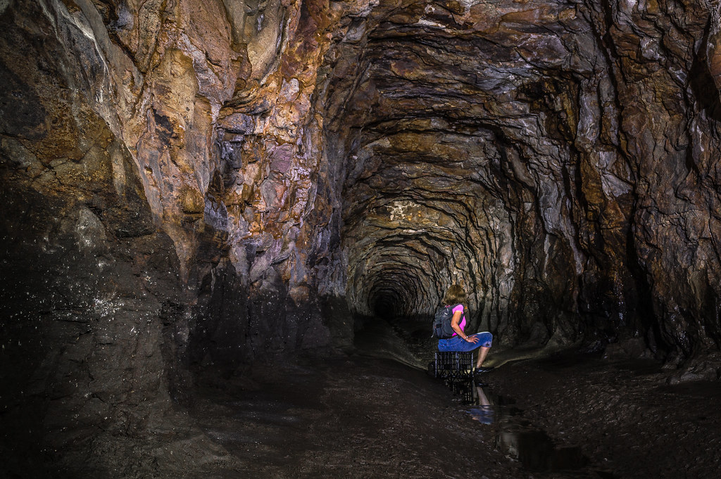 The Role of Citizen Science: How Cave Enthusiasts Help Research (image credits: flickr)