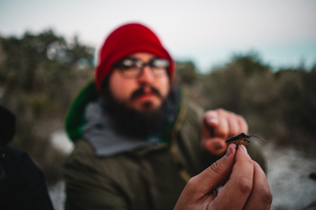 Future Research Directions: Unlocking More Mysteries (image credits: unsplash)