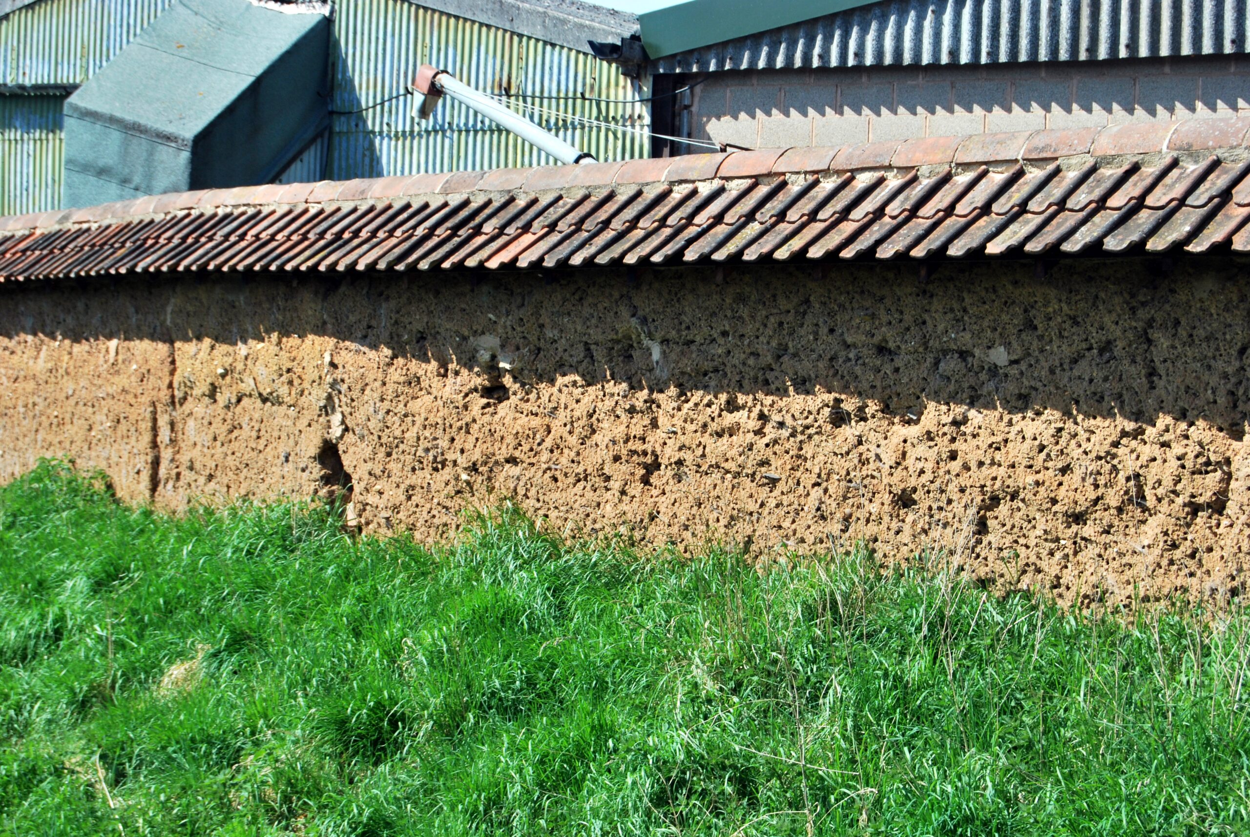 Creating Habitat: How to Help Solitary Bees (image credits: wikimedia)