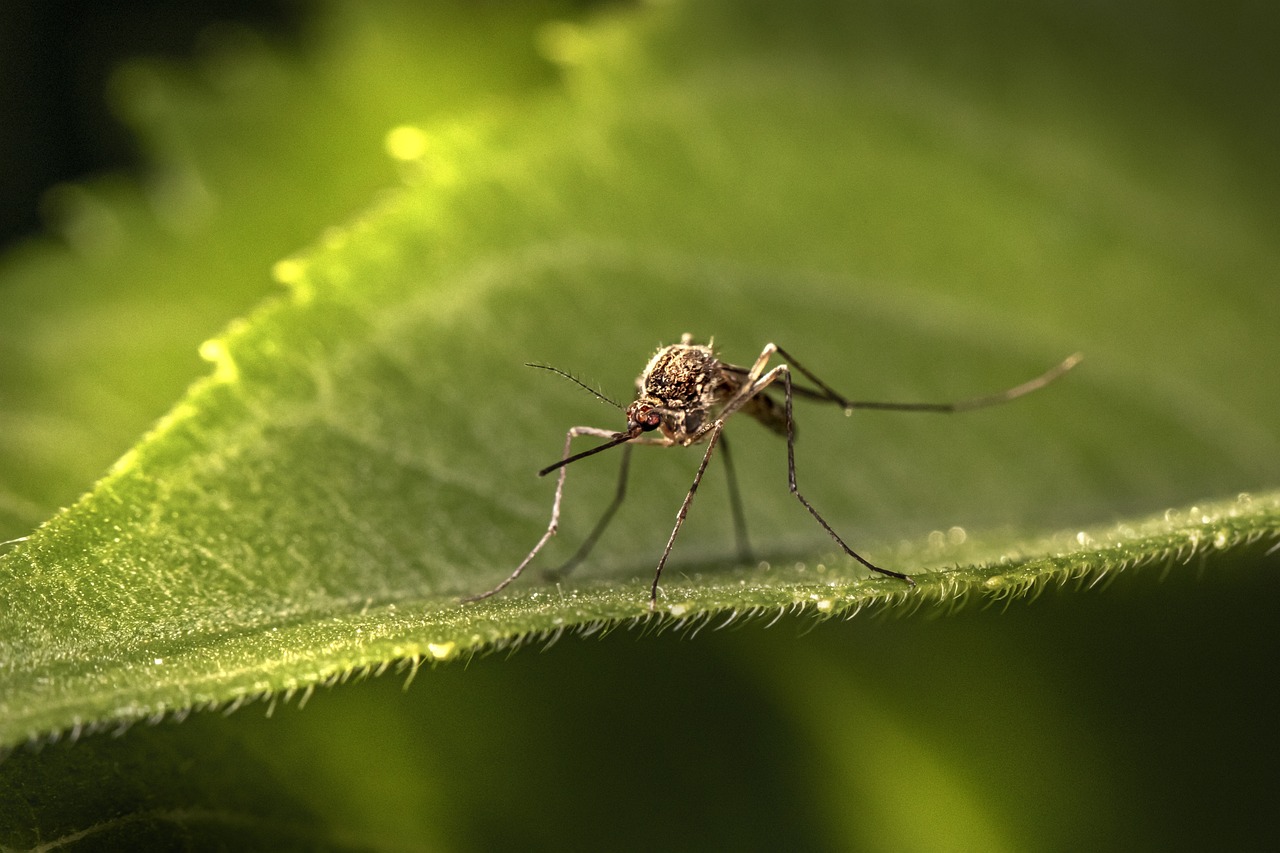 Future Applications Beyond Infectious Diseases (image credits: pixabay)