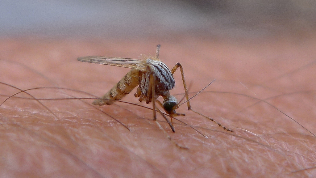 Transforming the Fight Against Disease (image credits: flickr)