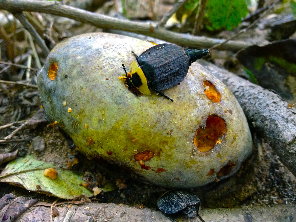 The Science of Preservation (image credits: flickr)
