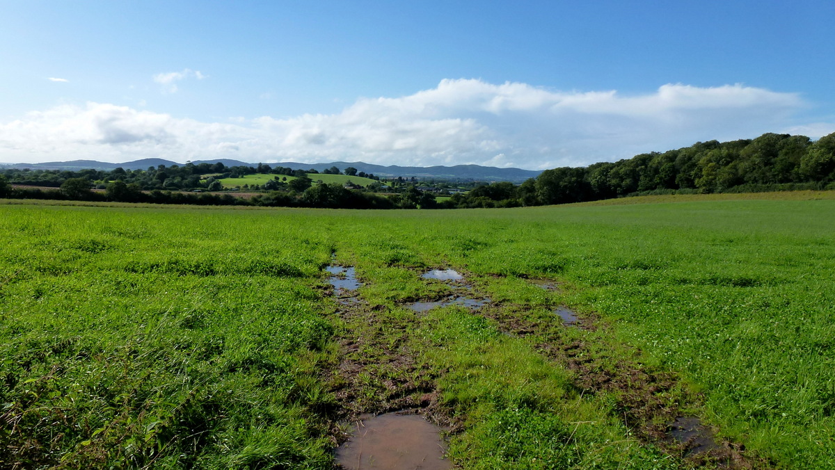 Adaptation to Different Environments (image credits: Geograph Britain and Ireland, CC BY-SA 2.0, https://commons.wikimedia.org/w/index.php?curid=114529453)