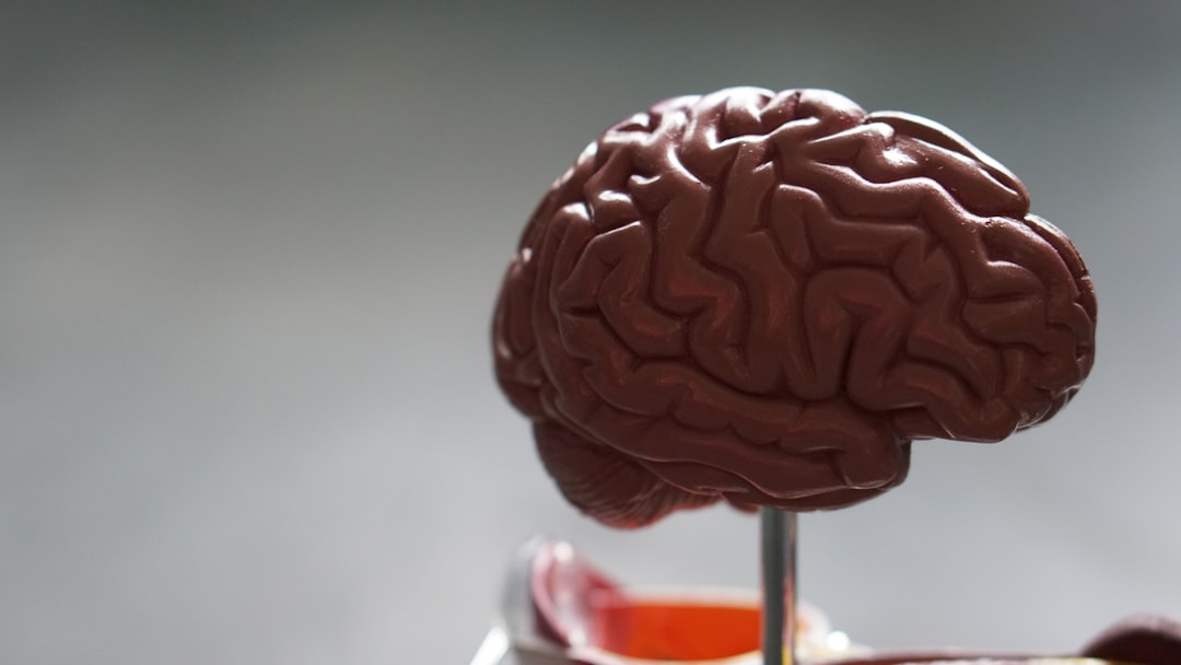 Breaking Through the Blood-Brain Barrier (image credits: unsplash)
