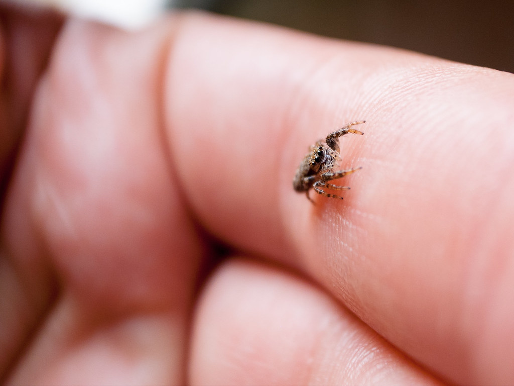 Chronic Pain's New Nemesis (image credits: flickr)
