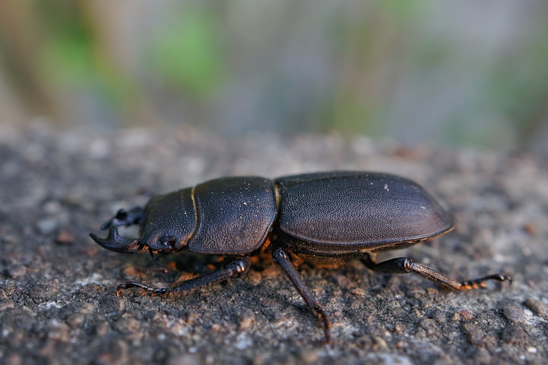 Species Diversity (image credits: unsplash)
