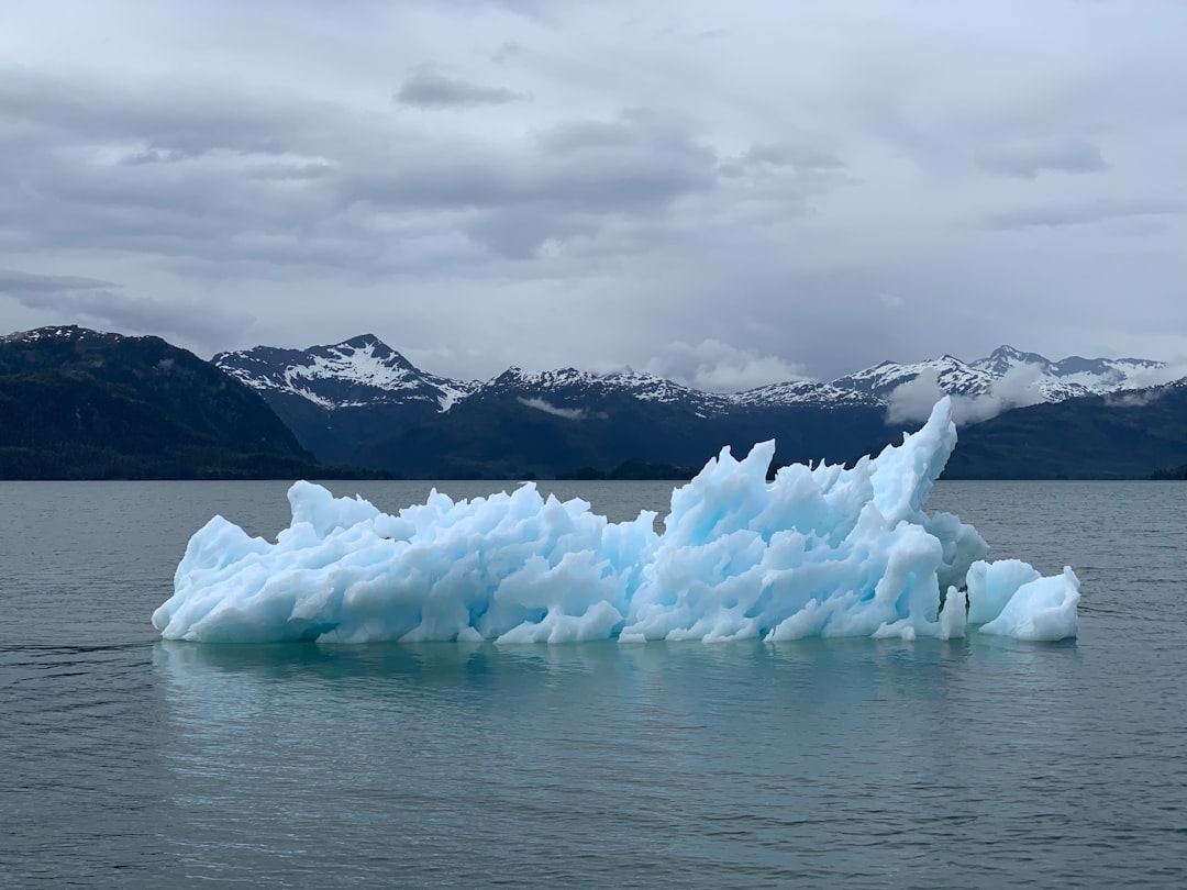 Conservation Concerns (image credits: unsplash)