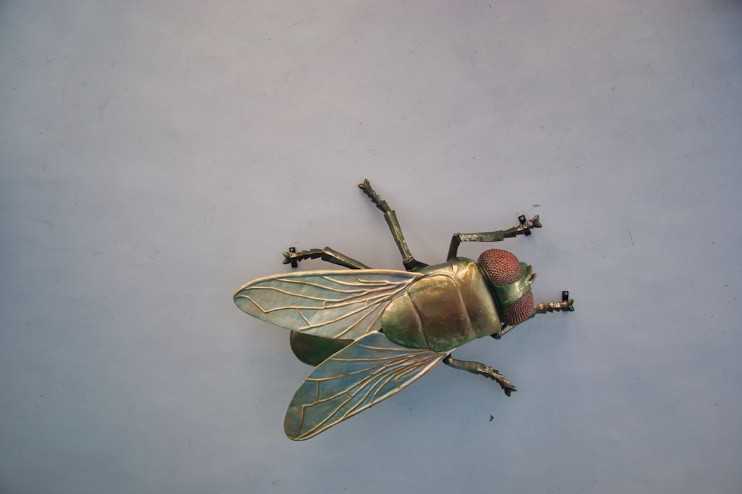 Tachinid Flies: The Stealth Bombers (image credits: unsplash)