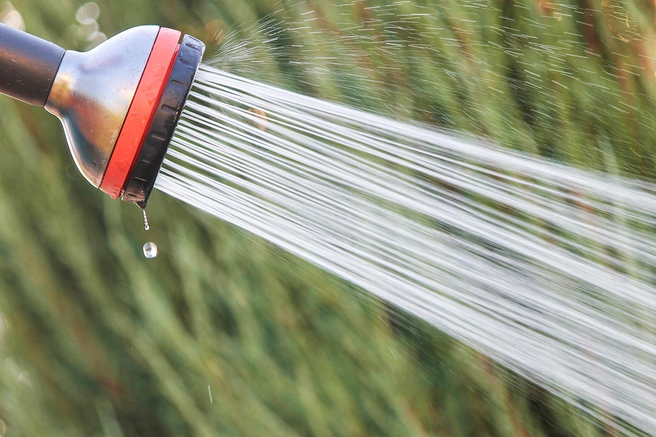 The Seasonal Dynamics of Shower Ecosystems (image credits: pixabay)