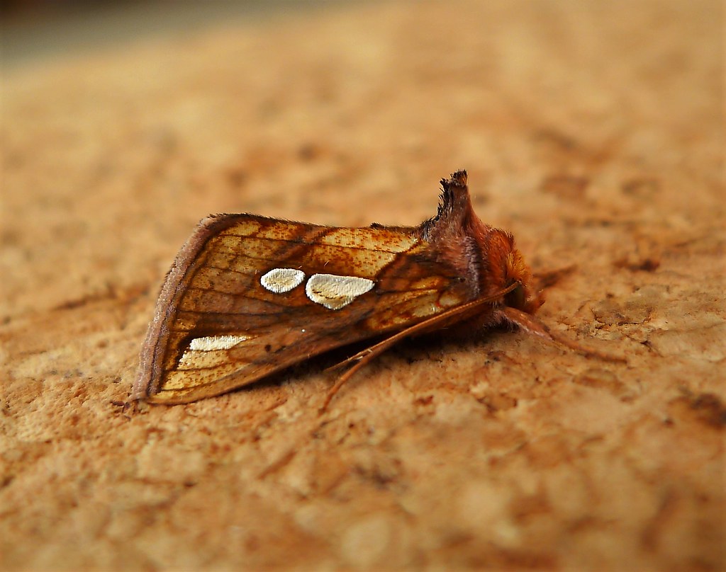 The Hidden World Beneath Your Feet (image credits: flickr)