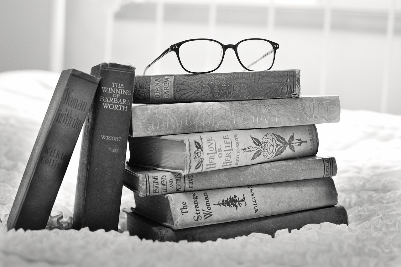 Home Library Protection: Keeping Your Books Safe (image credits: pixabay)