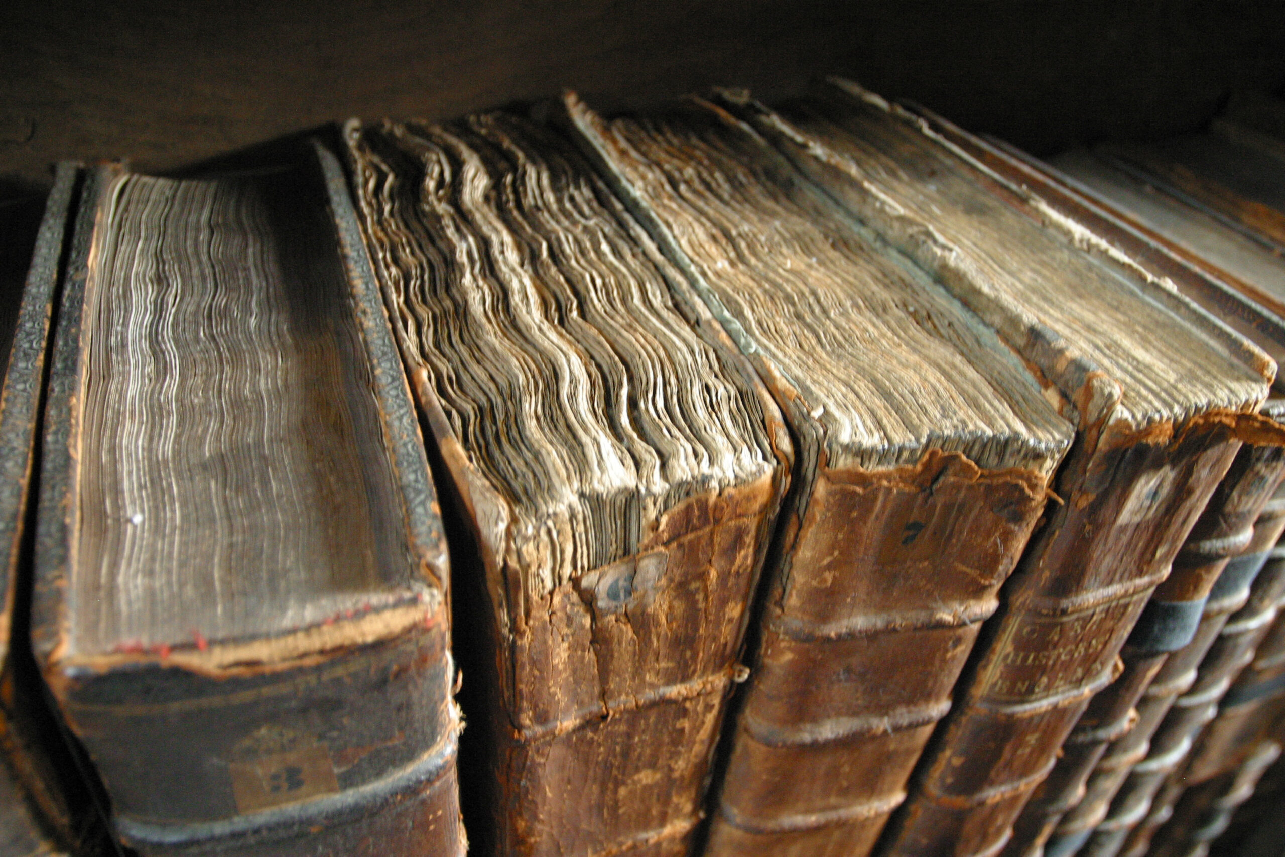 Future Innovations in Book Protection (image credits: wikimedia)