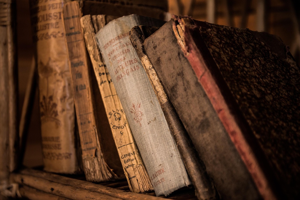 The Psychology of Book Destruction (image credits: pixabay)