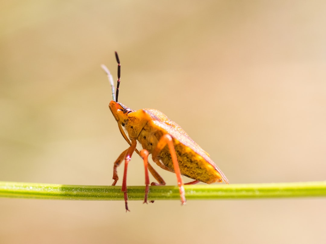 Sensory Adaptation: When Up Becomes Down (image credits: unsplash)