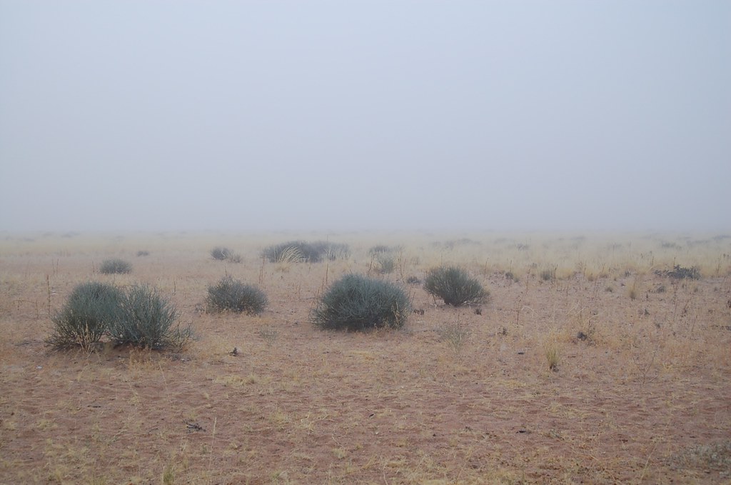 The Science Behind Fog Formation (image credits: flickr)