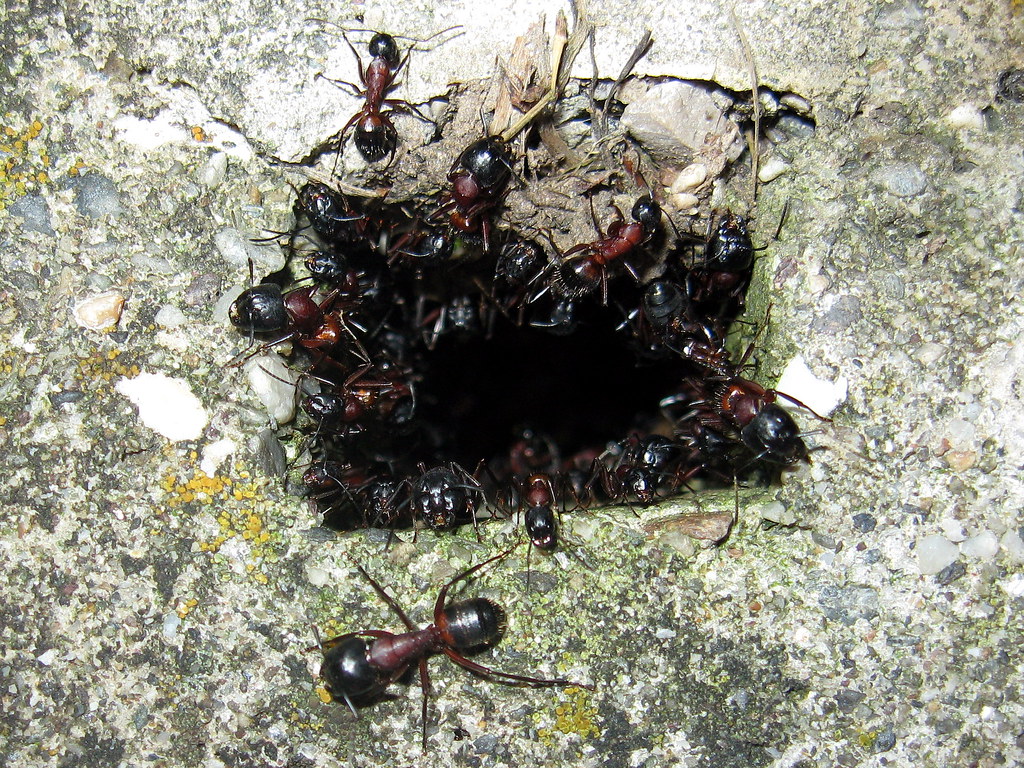 The Underground Lifestyle Challenge (image credits: flickr)