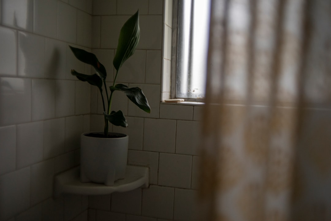 Plant Life: The Unexpected Ecosystem (image credits: unsplash)