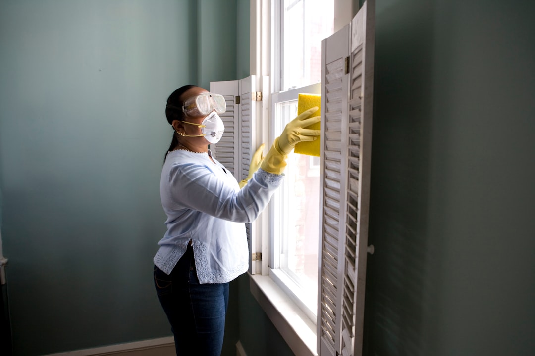 Professional Pest Control vs. DIY Solutions (image credits: unsplash)