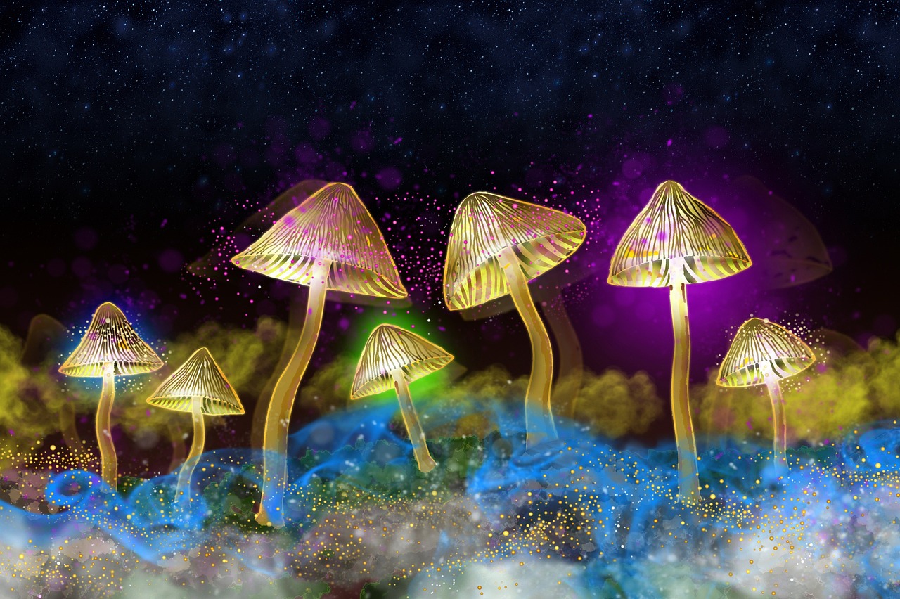 The Future Landscape of Biological Illumination (image credits: pixabay)